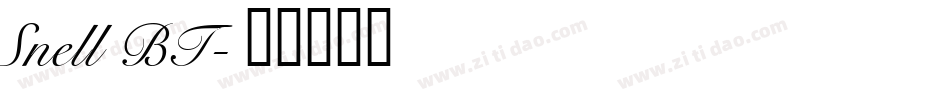 Snell BT字体转换